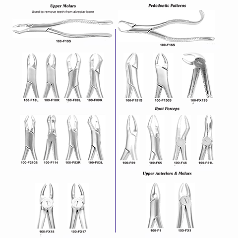 USA Delta Extraction Forceps Dental Instruments