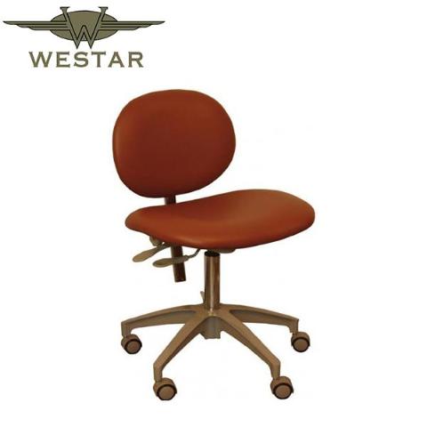 Westar Deluxe Doctor's Stool (250-D5000)