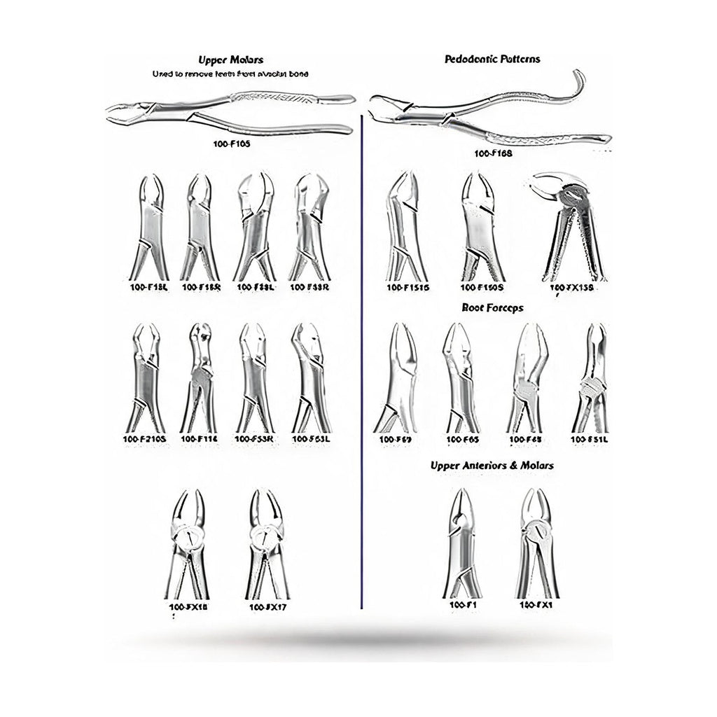 USA Delta Extraction Forceps Dental Instruments